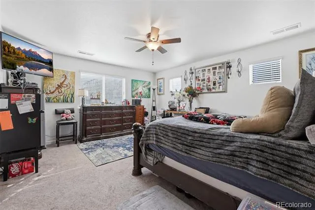 915 Mcmurdo Circle Castle Rock, CO 80108
