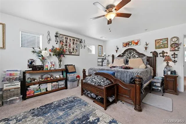 915 Mcmurdo Circle Castle Rock, CO 80108