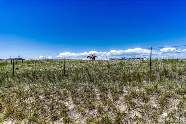 10732 Worthington Circle Parker, CO 80134