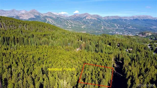 Address Not Shown Breckenridge, CO 80424