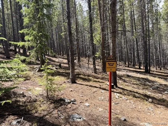 Address Not Shown Breckenridge, CO 80424