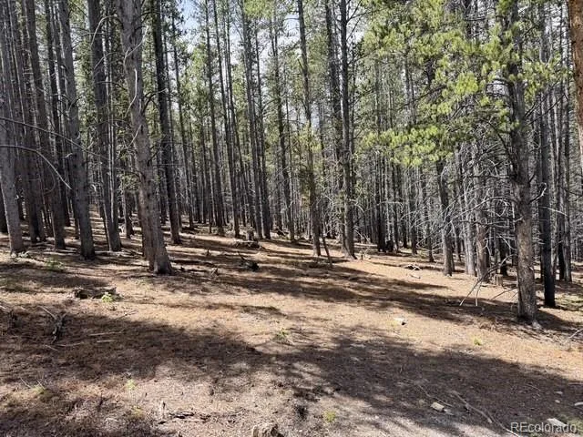 Address Not Shown Breckenridge, CO 80424
