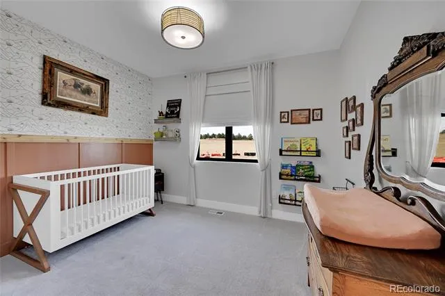50 Skyhawk Way Parker, CO 80138