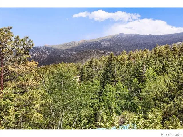 449 Highway 7 Business Allenspark, CO 80510