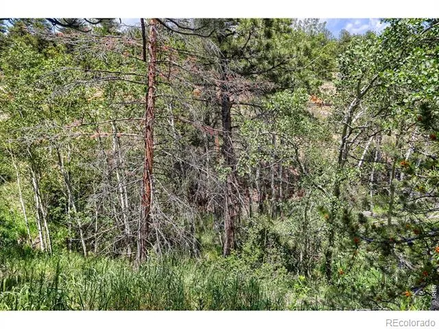 449 Highway 7 Business Allenspark, CO 80510