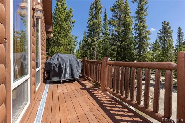 18 Puma Crossing Fairplay, CO 80440