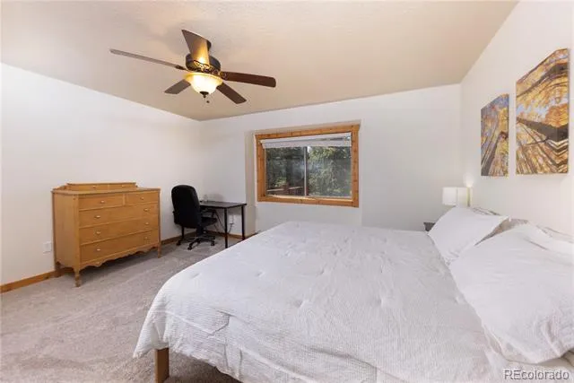 18 Puma Crossing Fairplay, CO 80440