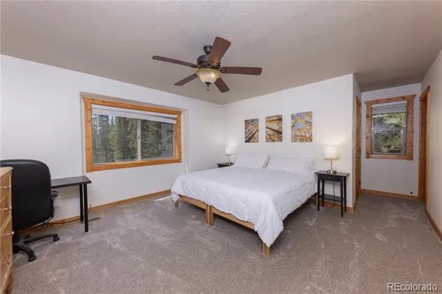 18 Puma Crossing Fairplay, CO 80440