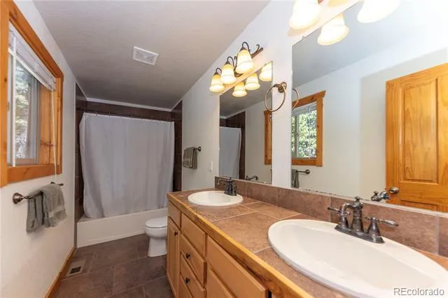18 Puma Crossing Fairplay, CO 80440