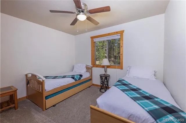 18 Puma Crossing Fairplay, CO 80440