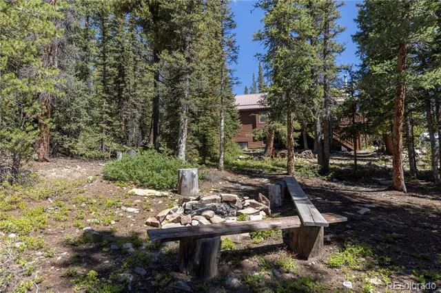 18 Puma Crossing Fairplay, CO 80440