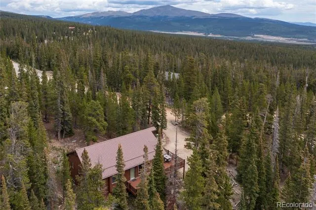 18 Puma Crossing Fairplay, CO 80440