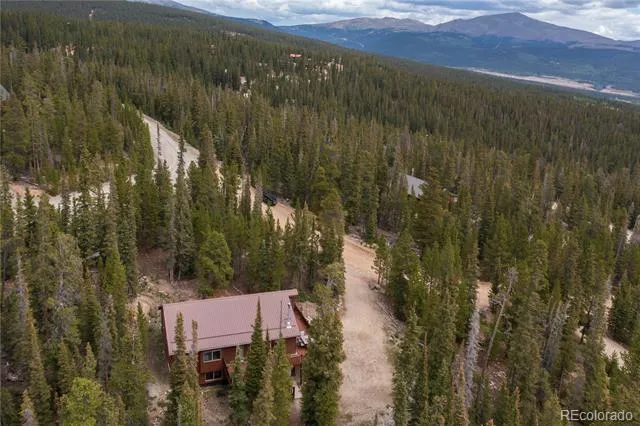 18 Puma Crossing Fairplay, CO 80440