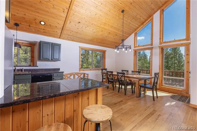 18 Puma Crossing Fairplay, CO 80440