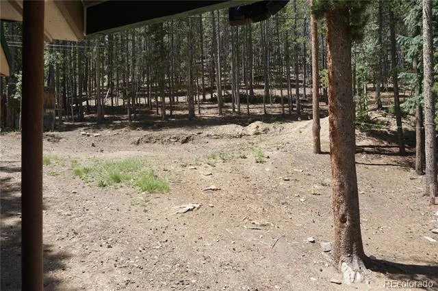 7823 County Road 43 Bailey, CO 80421