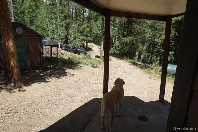 7823 County Road 43 Bailey, CO 80421