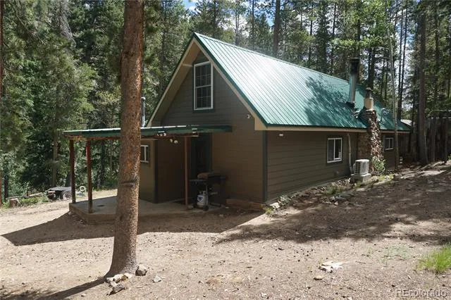7823 County Road 43 Bailey, CO 80421