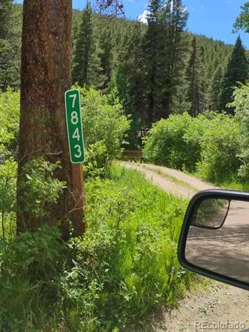 7823 County Road 43 Bailey, CO 80421