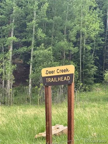 7823 County Road 43 Bailey, CO 80421
