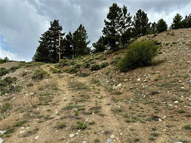 9 Mount Hope Drive Twin Lakes, CO 81251