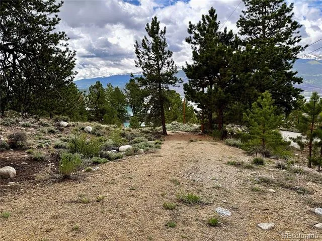 9 Mount Hope Drive Twin Lakes, CO 81251