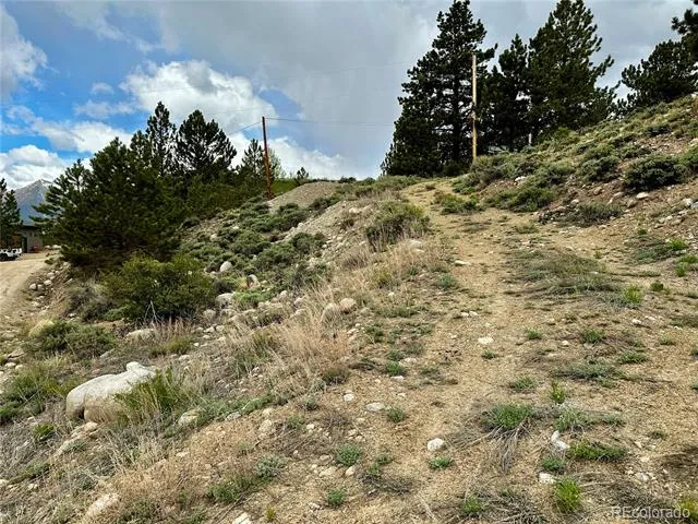 9 Mount Hope Drive Twin Lakes, CO 81251