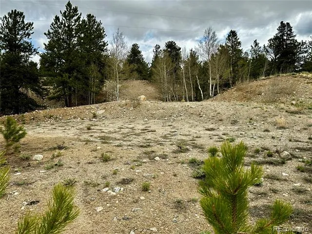 9 Mount Hope Drive Twin Lakes, CO 81251