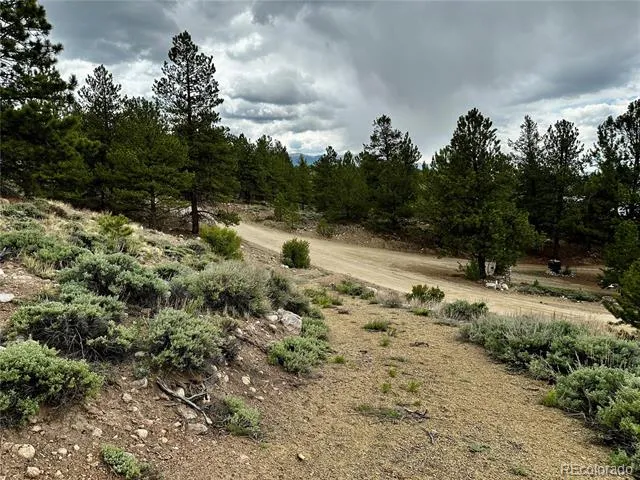 9 Mount Hope Drive Twin Lakes, CO 81251