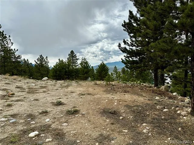 9 Mount Hope Drive Twin Lakes, CO 81251