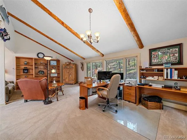 34393 Upper Bear Creek Road Evergreen, CO 80439