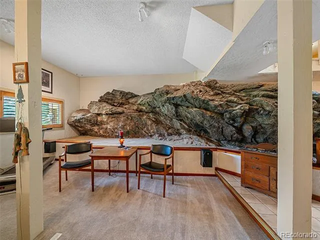 34393 Upper Bear Creek Road Evergreen, CO 80439