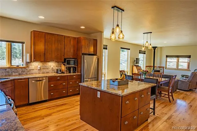 18492 Morrison Creek Circle Buena Vista, CO 81211