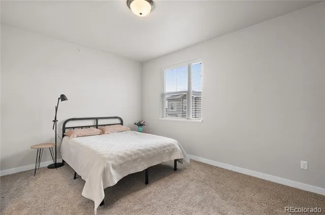 350 High Point Drive #C103 Longmont, CO 80504