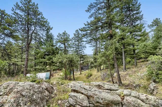 8465 US Highway 285 Morrison, CO 80465