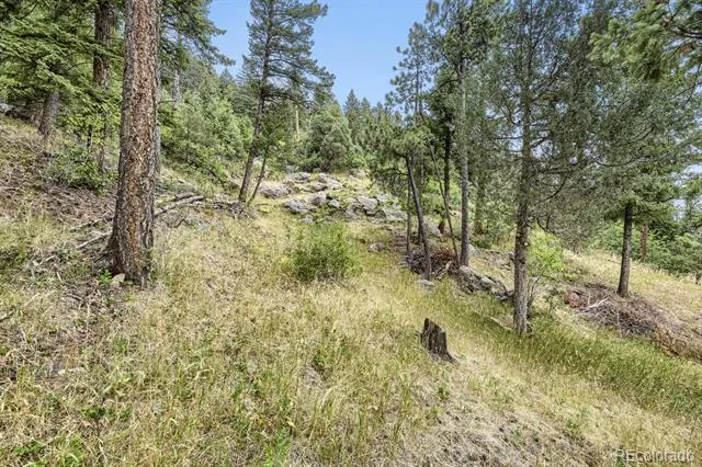 8465 US Highway 285 Morrison, CO 80465