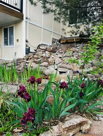 2989 E 135th Place Thornton, CO 80241
