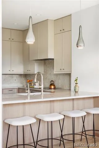 2500 E Cherry Creek South Drive #217 Denver, CO 80209