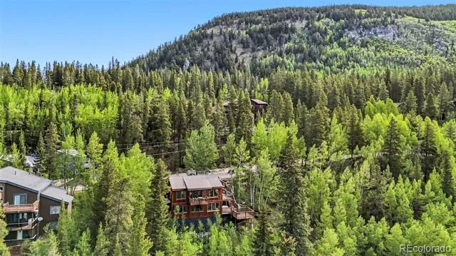 178 Indiana Creek Drive Breckenridge, CO 80424