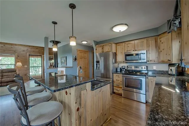 653 Vine Road Fairplay, CO 80440