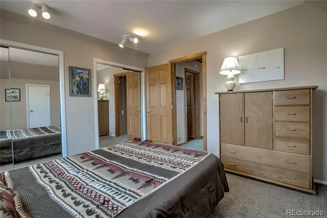 653 Vine Road Fairplay, CO 80440