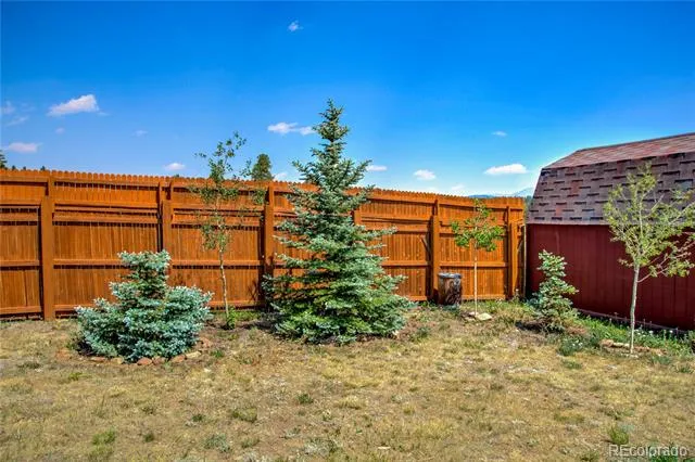 653 Vine Road Fairplay, CO 80440