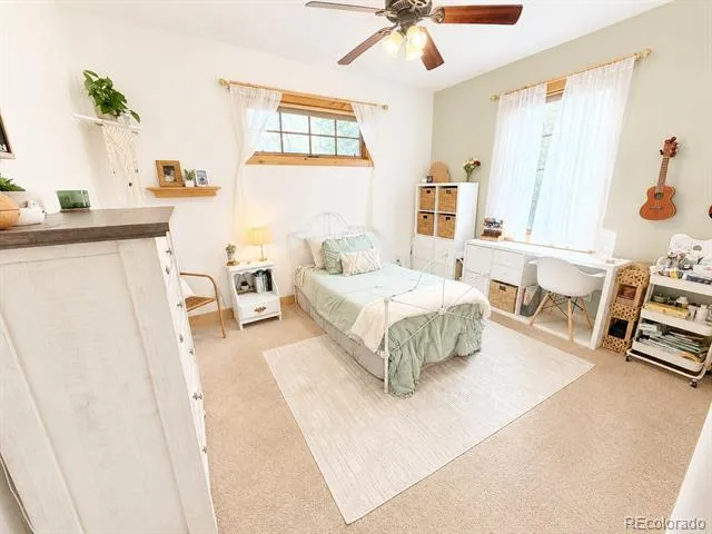 121 Meadow Lane Buena Vista, CO 81211