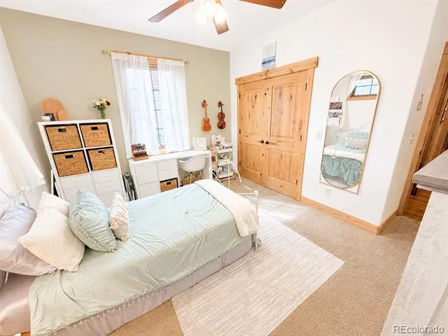 121 Meadow Lane Buena Vista, CO 81211