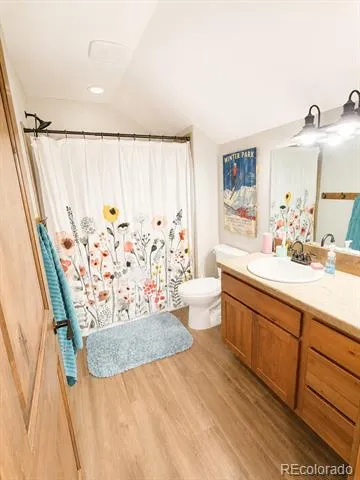 121 Meadow Lane Buena Vista, CO 81211