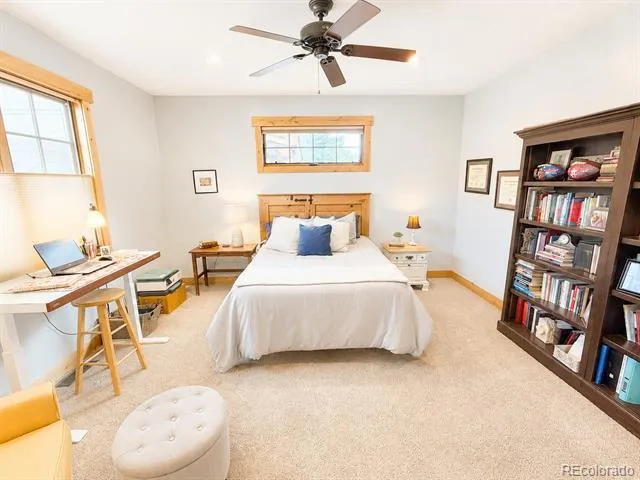 121 Meadow Lane Buena Vista, CO 81211