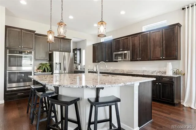6883 Mentha Drive Castle Rock, CO 80108