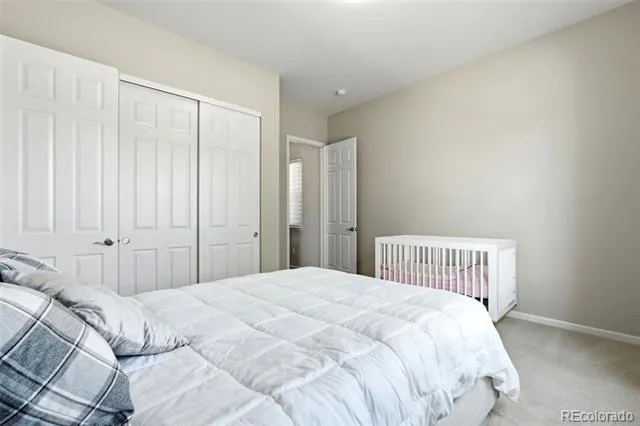 6883 Mentha Drive Castle Rock, CO 80108