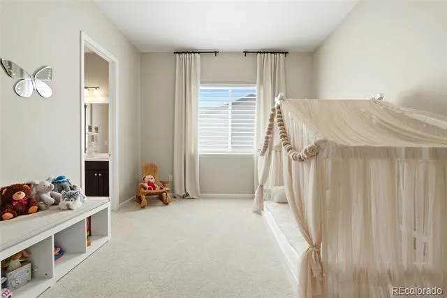 6883 Mentha Drive Castle Rock, CO 80108