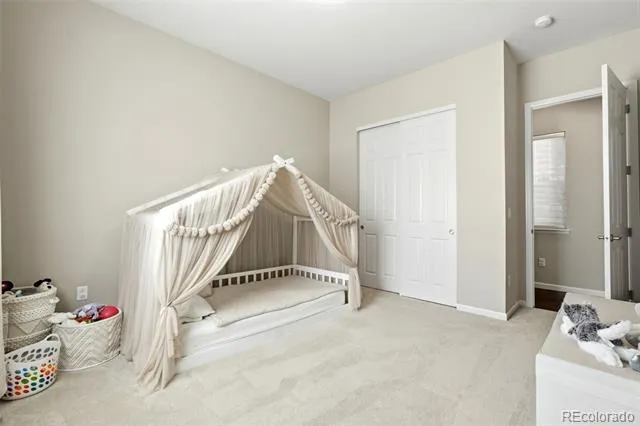 6883 Mentha Drive Castle Rock, CO 80108