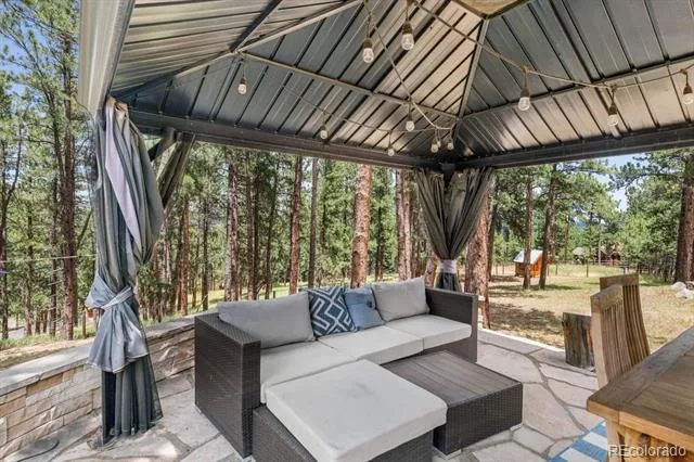 29721 Dorothy Road Evergreen, CO 80439